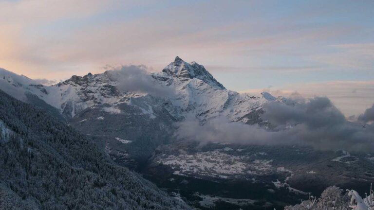 How To Open Cricbet99 Com Official Site?